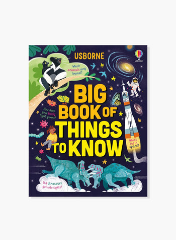 Usborne Book Usborne Big Book of Things to Know Book
