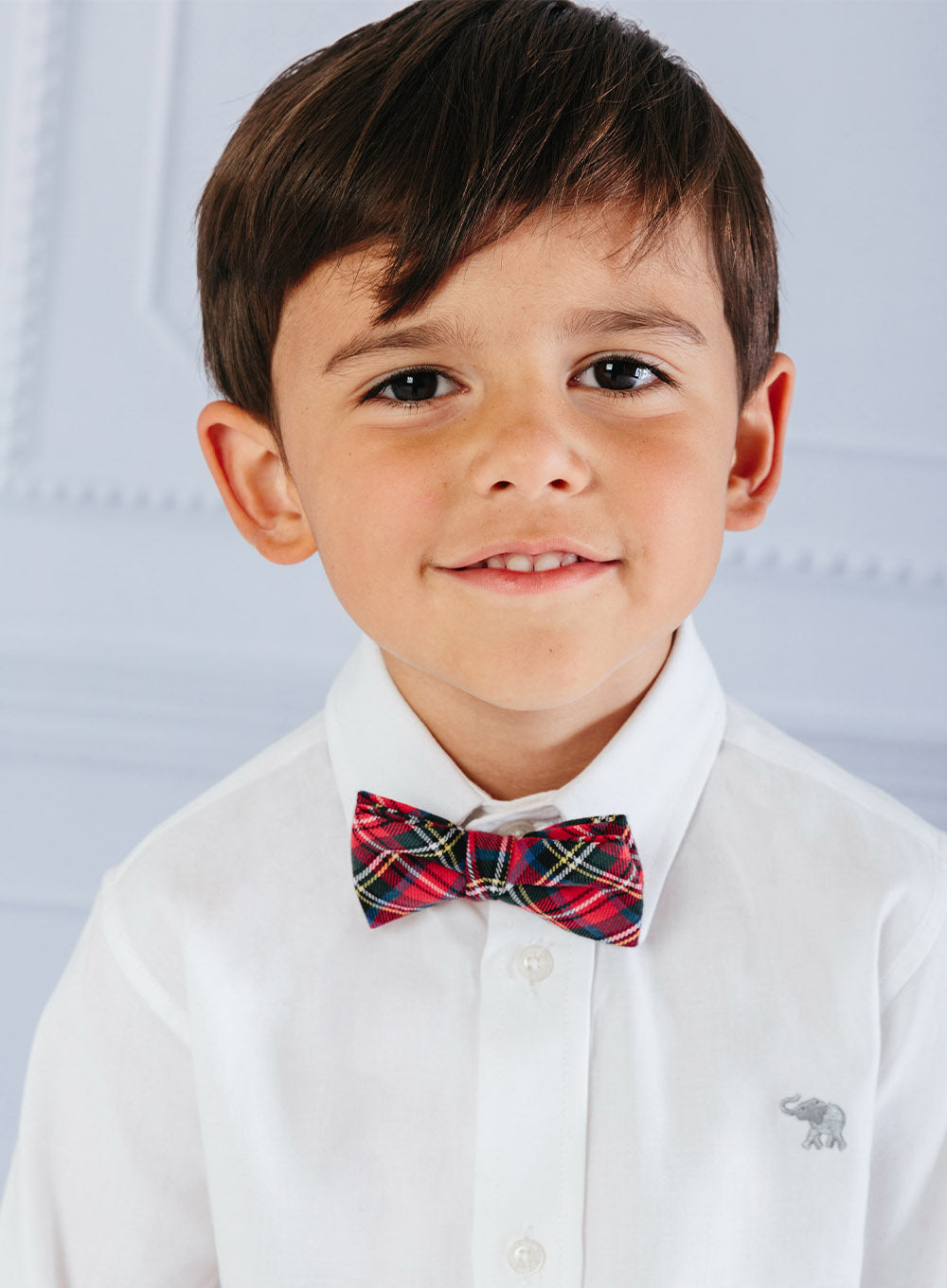 Bow Tie in Red Plaid