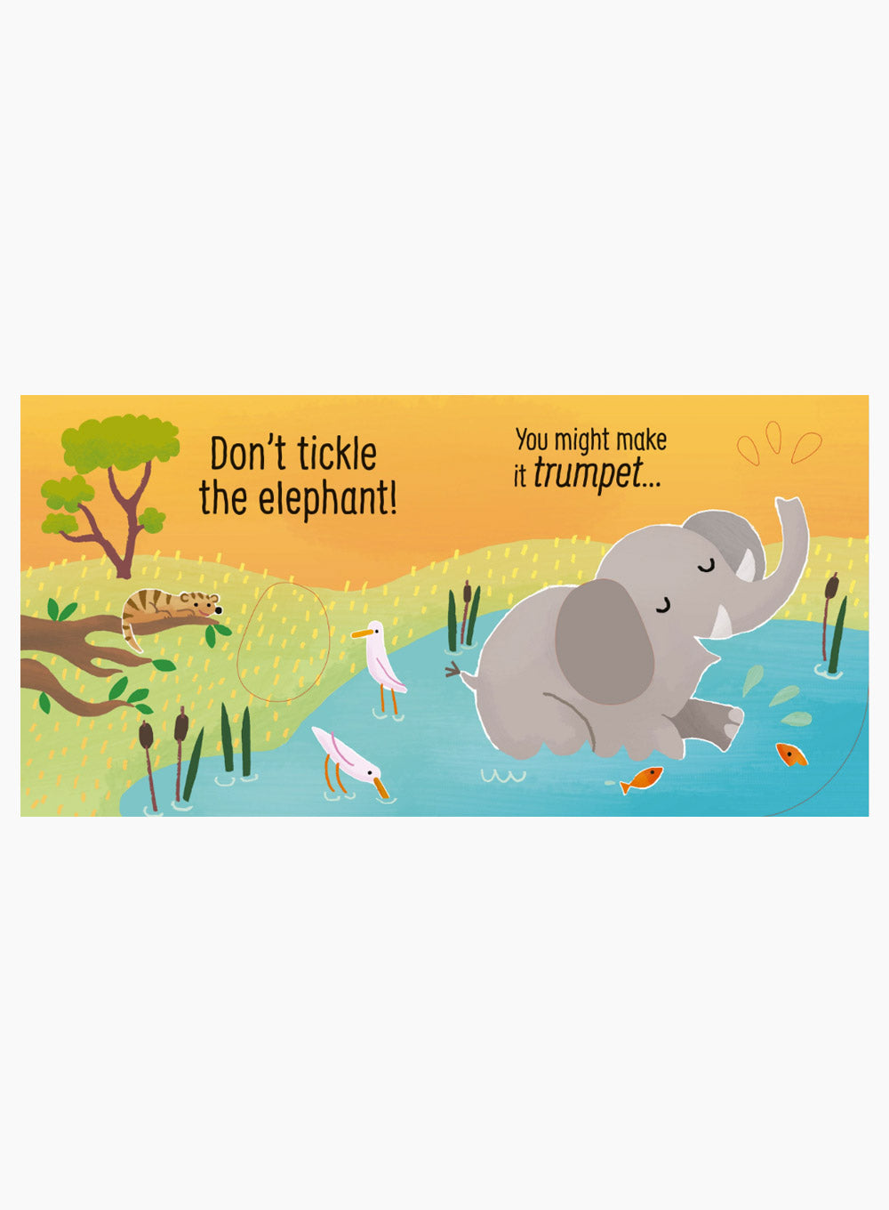 Don't Tickle the Elephant Board Book