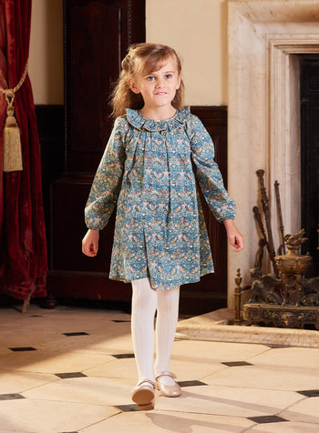Strawberry Thief Willow Dress