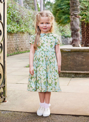 Carline Dress in Pale Blue Rose