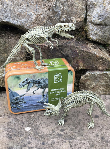 Apples to Pears Toy Dinosaur Excavation Kit - Trotters Childrenswear