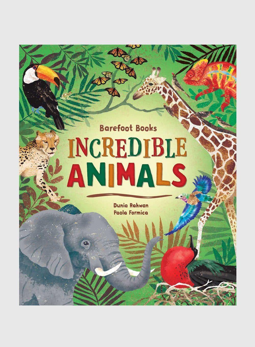Barefoot Books Book Barefoot Books Incredible Animals - Trotters Childrenswear