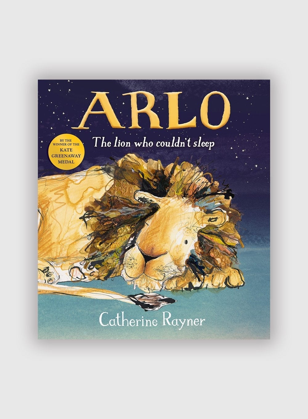 Catherine Rayner Book Arlo The Lion Who Couldn't Sleep