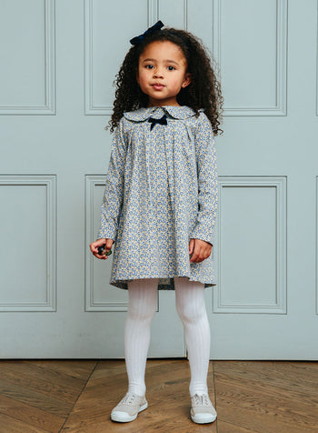 Confiture Dress Layla Pretty Collar Dress in Blue Floral