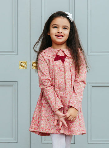 Confiture Dress Layla Pretty Collar Dress in Pink Red Floral