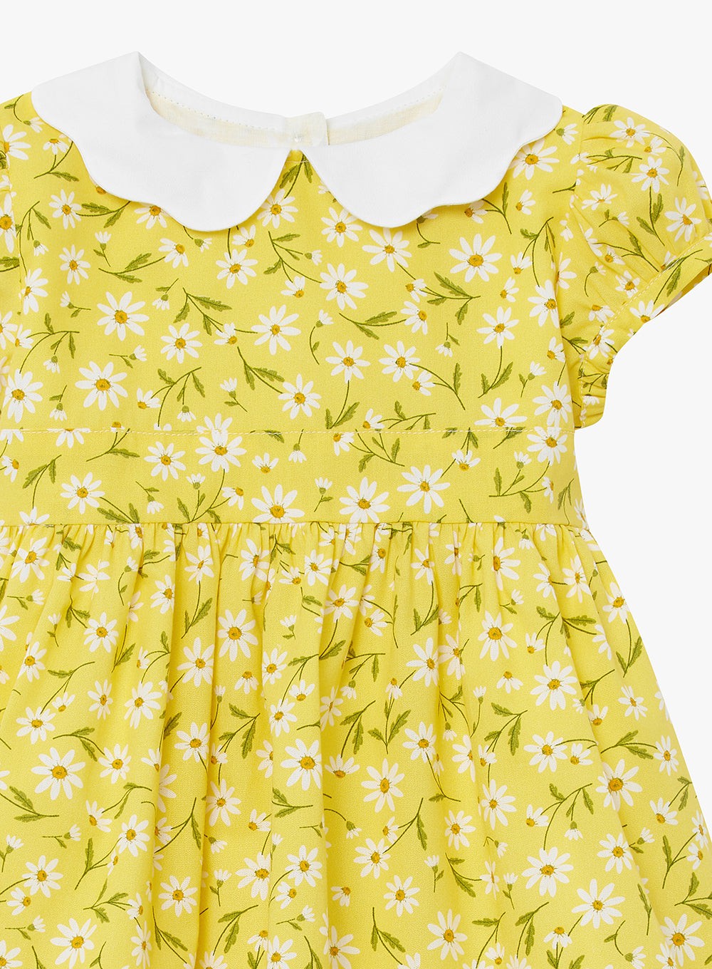Confiture Dress Little Catherine Dress in Yellow Daisy