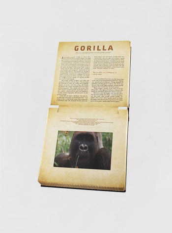 Dan Kainen Book Safari: A Photicular Book - Trotters Childrenswear