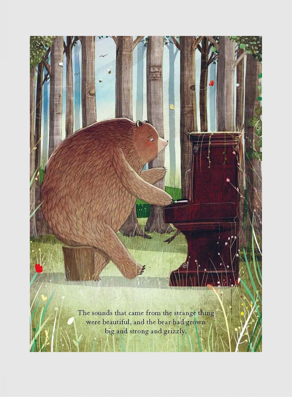 David Litchfield Book The Bear and the Piano Boardbook - Trotters Childrenswear