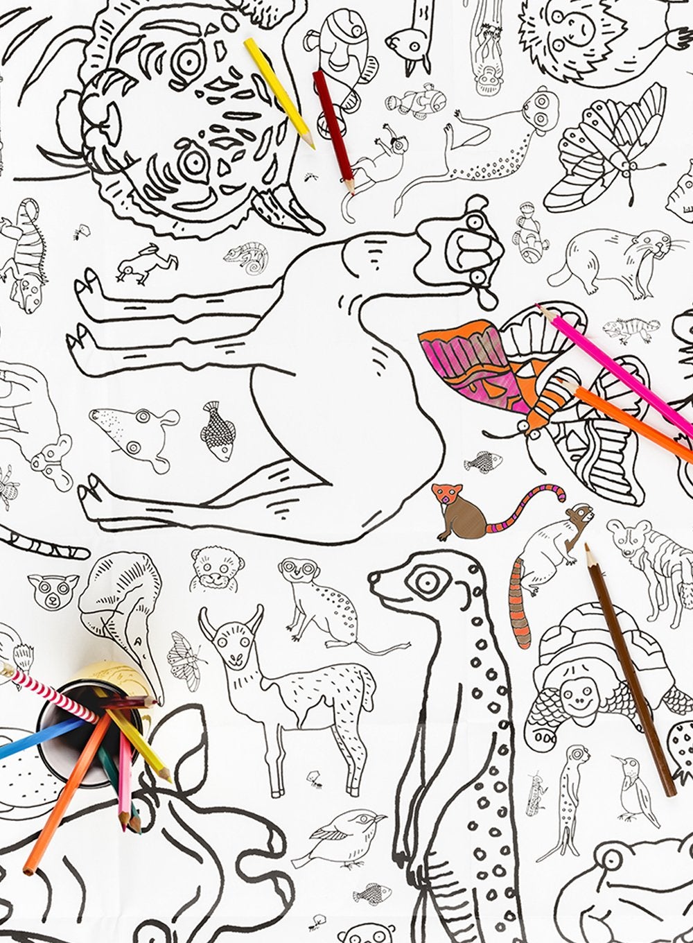 Egg Nogg Poster Colour-In Giant Animals Poster/Tablecloth - Trotters Childrenswear