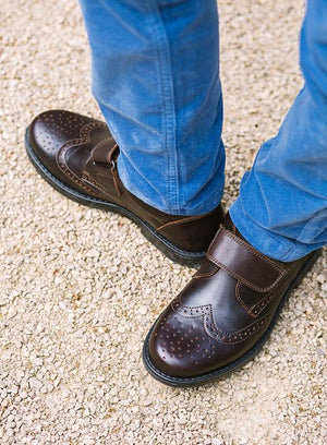 Hampton Classics School Shoes Hampton Classics Gregory School Shoes in Brown
