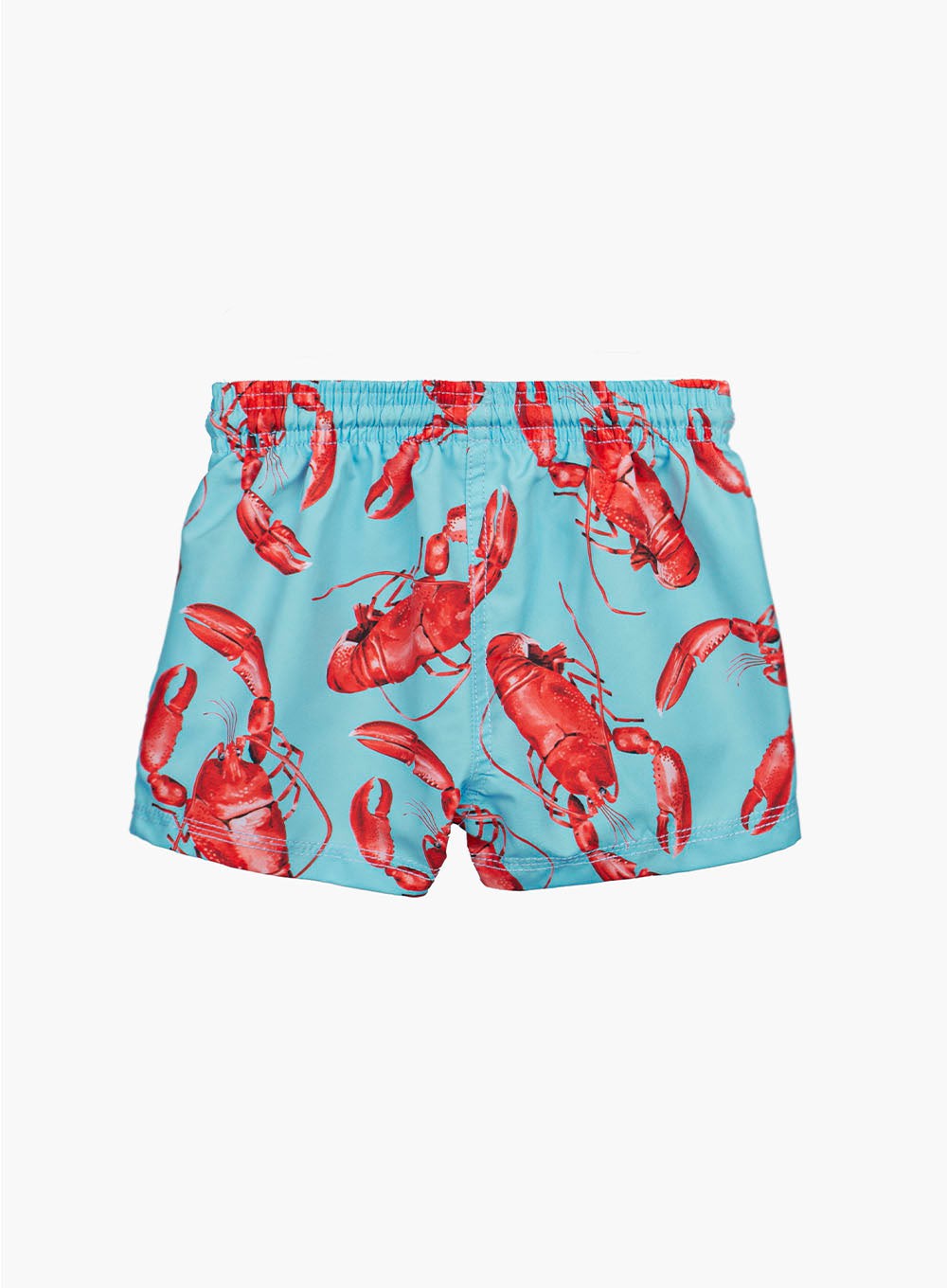Hampton Swim Swimshorts Baby Swimshorts in Aqua Lobster