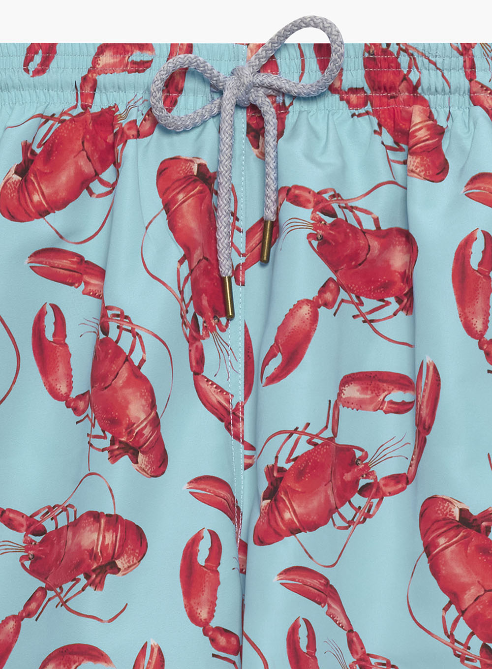 Hampton Swim Swimshorts Mens Daddy & Me  Swimshorts in Aqua Lobster