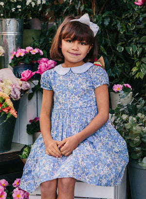 Lily Rose Dress Dress in Blue Betsy