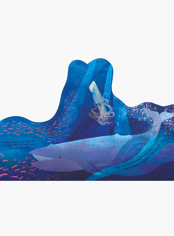 Natasha Durley Book Animal Homes: Ocean Book