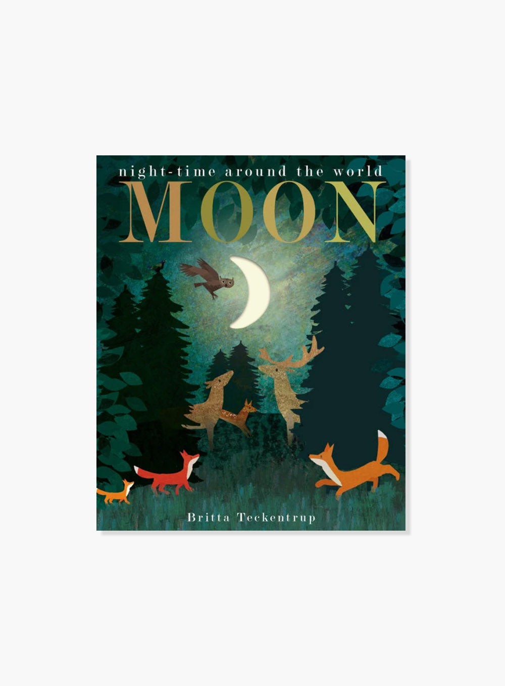 Patricia Hegarty Book Moon: Nightime around the world
