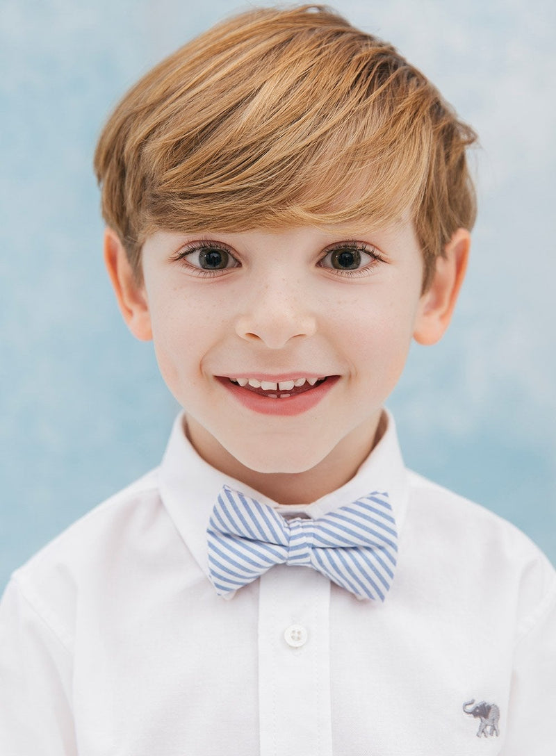 Thomas Brown Bow Tie Bow Tie in Blue Stripe - Trotters Childrenswear