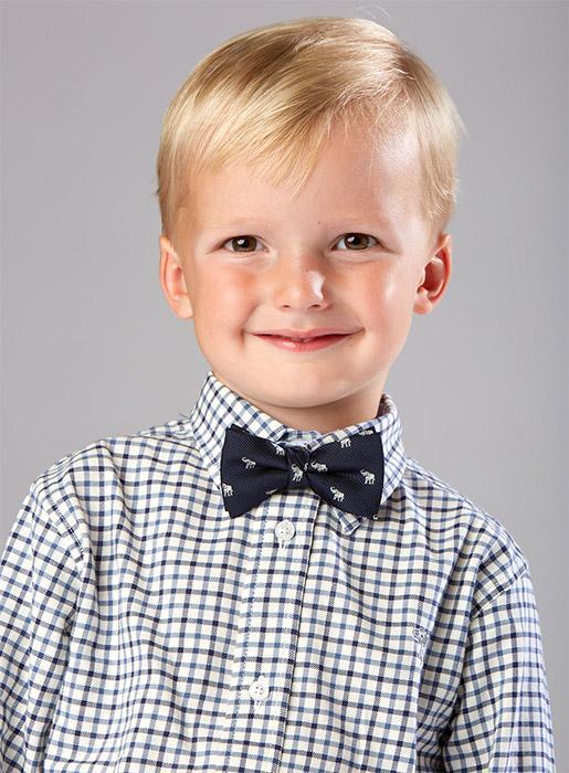 Thomas Brown Bow Tie Bow Tie in Elephant - Trotters Childrenswear