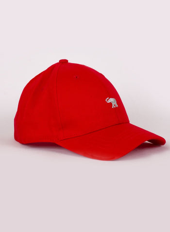 Thomas Brown Hat Charlie Cap in Red - Trotters Childrenswear