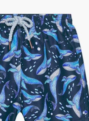 Trotters Swim Swim Shorts Boys Swimshorts in Whale