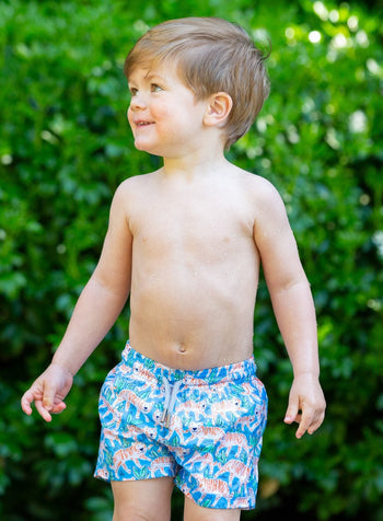 Trotters Swim Swimshorts Baby Swimshorts in Tiger