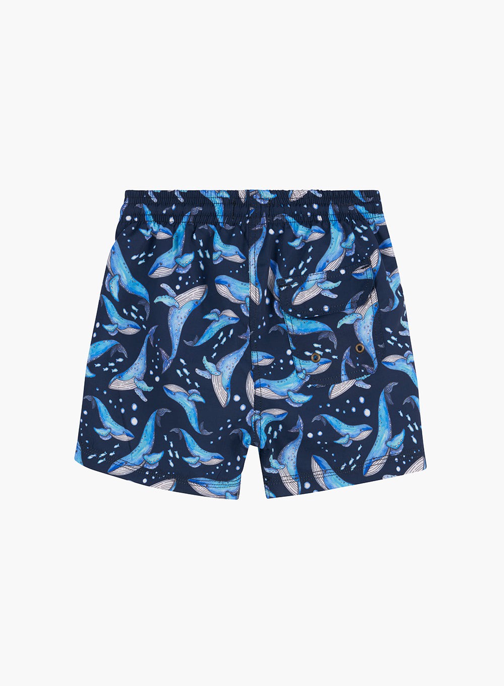 Trotters Swim Swimshorts Baby Swimshorts in Whale